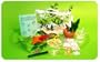 Fun Science Plants and Seeds Science Kit