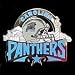 Carolina Panthers Pin - NFL Football Fan Shop Sports Team Merchandise
