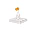 WELLAND Chicago Floating Wall Shelves, 10-inch, Set of 3, White