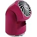 Kitchen & Housewares : Vornado Air CR1-0094-38 V6 Flippi Fan, Raspberry