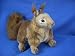 RED SQUIRREL PLUSH TOY BY HANSA 11.5" L
