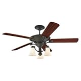 IMAGE OF Sea Gull Lighting 15170B-839 Somerton - 56