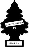 31ds48r83iL. SL160  Little Trees Hanging Car and Home Air Freshener, Black Ice (Pack of 24)