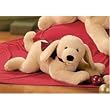Cooper Plush Dog Small By Gund