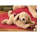 Cooper Plush Dog Small By Gund