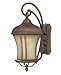 Realto Outdoor Wall Lantern in Walnut Patina - Energy Star Size: 21
