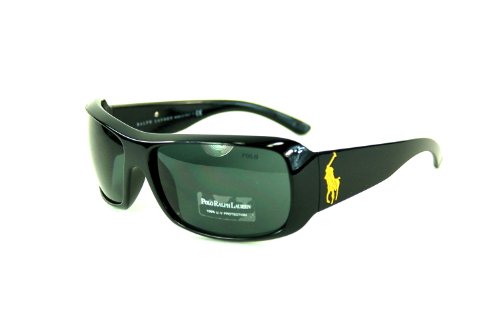Polo PH 4039 500187 Sunglasses