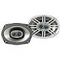 Polk Audio DB691 6-by-9-Inch 3-Way Speakers (Pair, Silver)