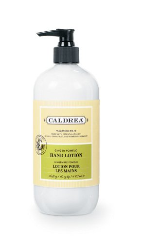 Caldrea Hand Lotion, Ginger Pomelo, 16-Ounce Bottles (Pack of 6) by Caldrea