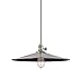 Heirloom 1 Light Foyer Pendant Finish: Historic Nickel, Size: 8" - 139" H, Shade Code: ML1