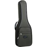 Reunion Blues RBG1 Electric Guitar Cases