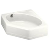 KOHLER K-3187-NA Undertone Undercounter Trough Sink