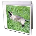 Cats - Siamese Cat - Greeting Cards-12 Greeting Cards with envelopes