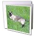 siamese18  - Cats Siamese Cat Greeting Cards12 Greeting Cards with