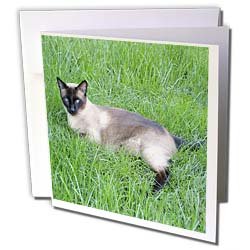 image link -  - B002TDSNRI