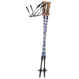 Sporting Goods : Leki Pathfinder Junior Poles - Youth