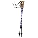 Sporting Goods : Leki Pathfinder Junior Poles - Youth