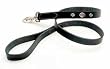 Coastal Pet Harley-Davidson Leather Dog Leash / Lead (Black, 4 ft. L x 5/8 Inch W)