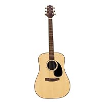 Takamine G Series G340 Acoustic Guitar