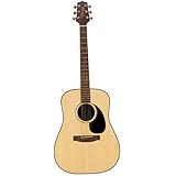 Takamine G Series G340 Dreadnought Acoustic Guitar, Natural
