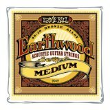 Ernie Ball 2002 Earthwood 80/20 Bronze Medium Acoustic Guitar Strings