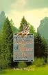 Tiger of Bitter Valley [Paperback] by Youngberg, Norma R.