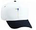 Stirrer/w Electric Motor White Cap