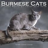 2008 BURMESE CATS 16 MONTH PINUP WALL CALENDAR