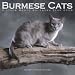   - 2008 BURMESE CATS 16 MONTH PINUP WALL CALENDAR