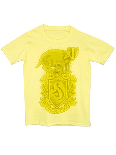 Harry Potter Girls' Harry Potter Gryffindor Hufflepuff Ravenclaw Slytherin T-Shirt