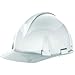 MSA (Mine Safety Appliances Co)