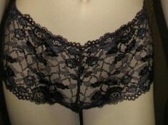 Natori Obsession Hipster Thong (150101)