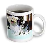 Dogs Maltese - Maltese - Mugs