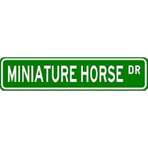 MINIATURE HORSE Street Sign ~ Custom Street Sign - Aluminum