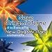 Neue Origami Sterne � la Bascetta - New Origami Stars a la Bascetta: 3D Sterne aus Papier - 3D Stars made of Paper