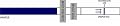 25 Ovulation Test Strips