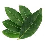 Red Hot Chilli People Bay Leaves - 8g