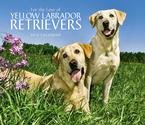 image link - - B002GWYZ4C
