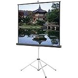 31dwcFhpjEL. SL160  Da Lite – Projection screen carrying case – black