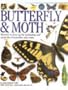 Butterfly and Moth (Eyewitness Guides)