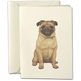 Pug Dog Notes