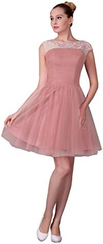 Melantha Chiffon Prom Dress Short Party Dress With Lace Applique For Juniors Size 2 Blush