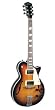 Johnson Delta Rose Archtop Electric Guitar