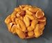 KatySweet Chewy Peanut Pie Pralines