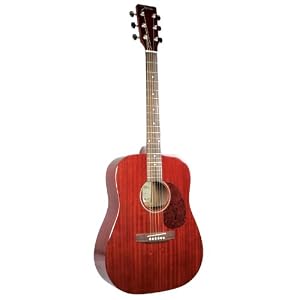 Johnson Red Cliff Series Acoustic Guitar by 