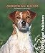   - Jack Russell Terriers Address Book - Gift for Dog Lovers