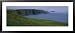 Grass on an Island, Elliston, Bonavista Peninsula, Newfoundland and Labrador, Canada Framed Art Poster Print by Panoramic Images, 43x19