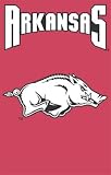 Arkansas Razorbacks Applique Embroidered Banner Flag 44x28 NCAA College Athletics Fan Shop Sports Team Merchandise