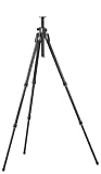Gitzo GT2931EX Section 3 G-Lock Explorer Basalt Tripod
