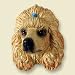 Poodle Apricot Magnet